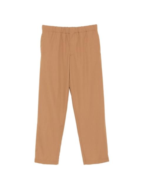 Pavice trousers