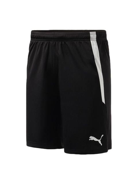 PUMA Team Liga Shorts 'Black' 704924-03