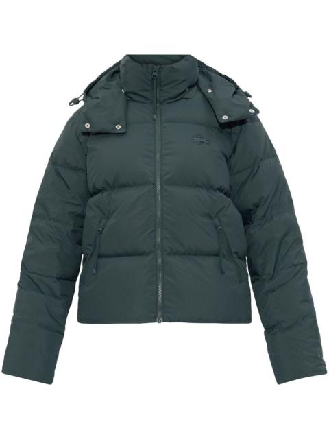 hooded down jacket