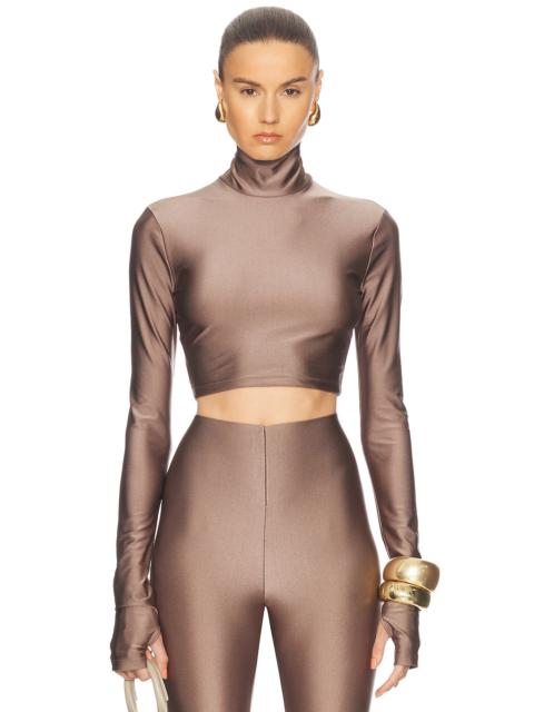 Orchid Turtleneck Crop Top