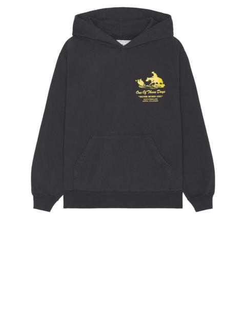 x FWRD Silver Queen City Hoody