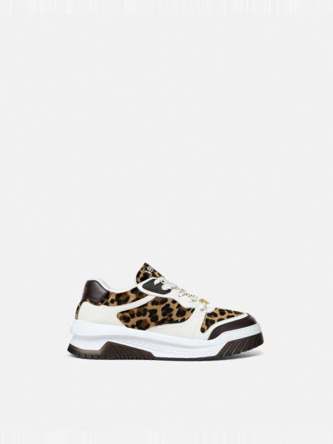 Leopard Odissea Sneakers
