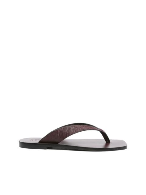 Kinto sandals