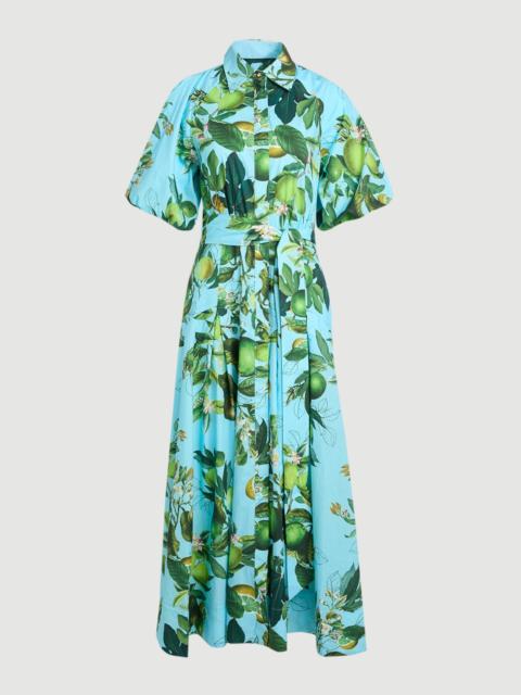 Lime Print Cotton Puff Sleeve Woven Midi Shirt Dress With Dropped Waist Detail