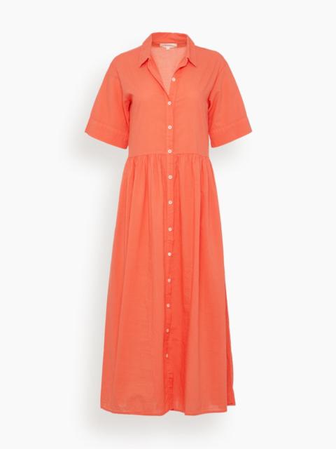 Dayton Dress in Sugar Poppy