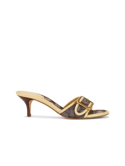 Margot Sandal