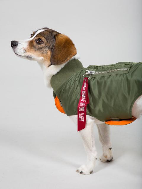 DOG MA-1 NYLON FLIGHT JACKET