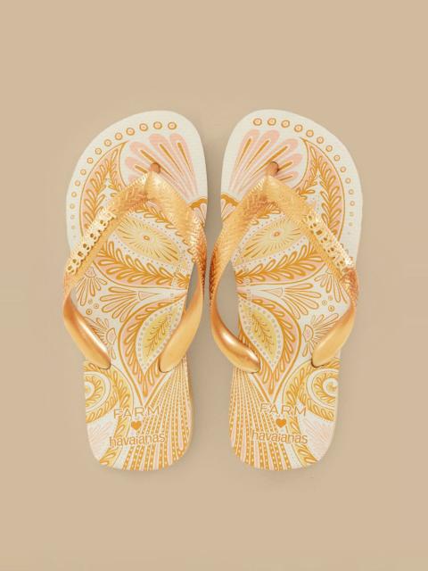 Papillon Havaianas