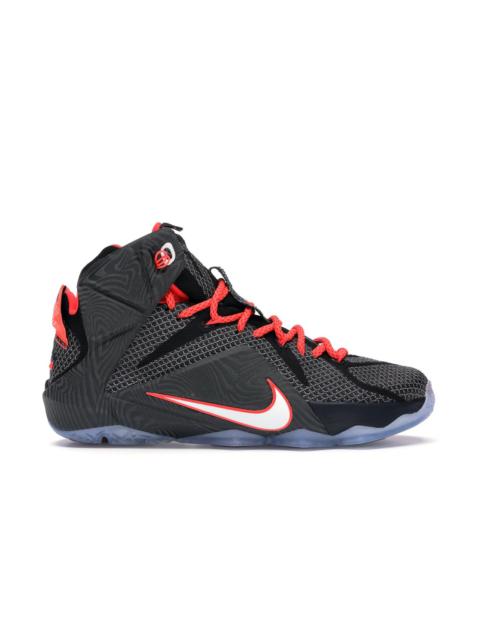 Nike LeBron 12 Court Vision
