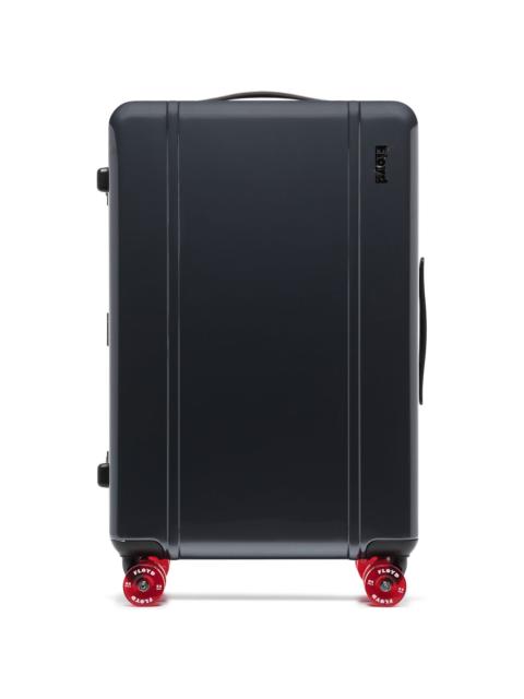 check-in luggage