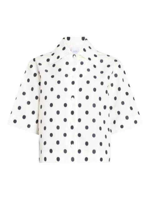 polka dot shirt