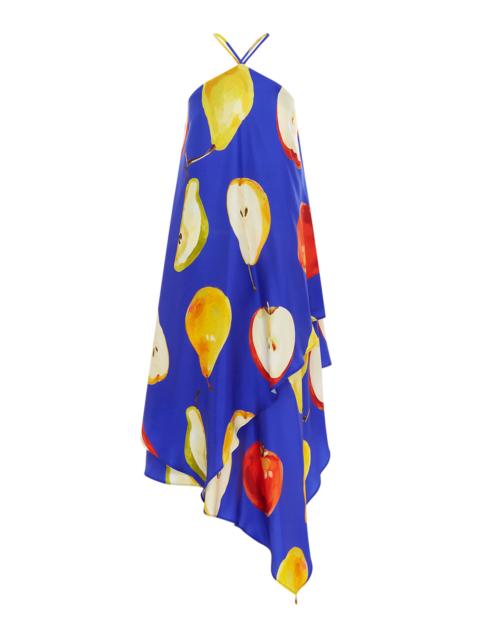 Sally Silk Halterneck Maxi Dress print