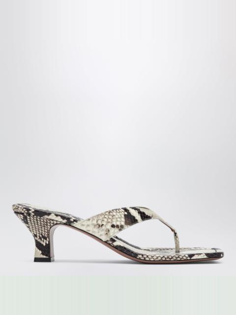 Python-print thong slides
