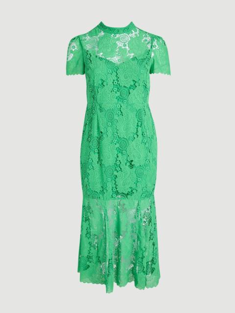 Plus Size Lace High Neck Woven Midi Dress