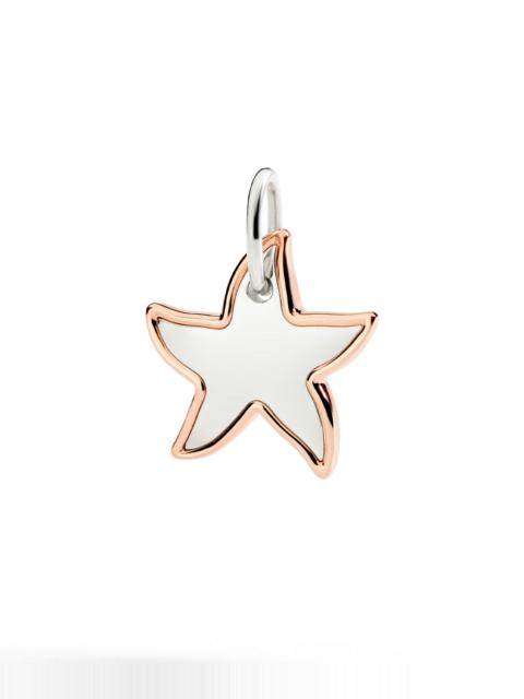 SILVER & ROSE GOLD XL STAR CHARM