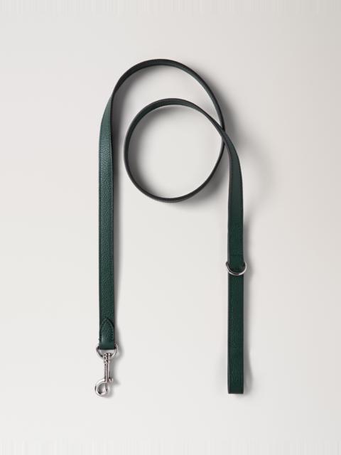 Handheld Dog Leash
Mulberry Green Small Classic Grain