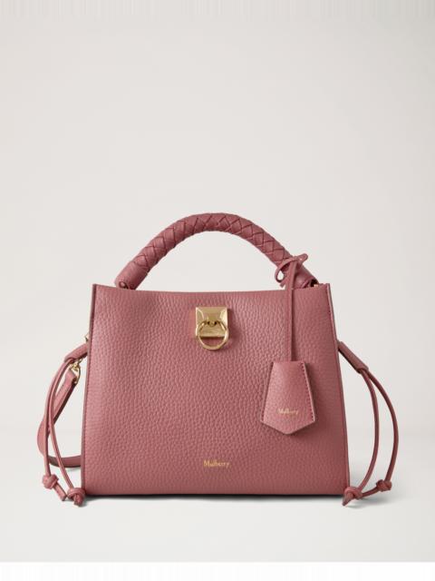 Small Iris
Pink Scrumpy Heavy Grain