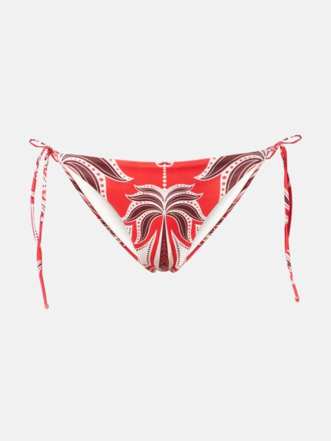 Ainika Garden bikini bottoms