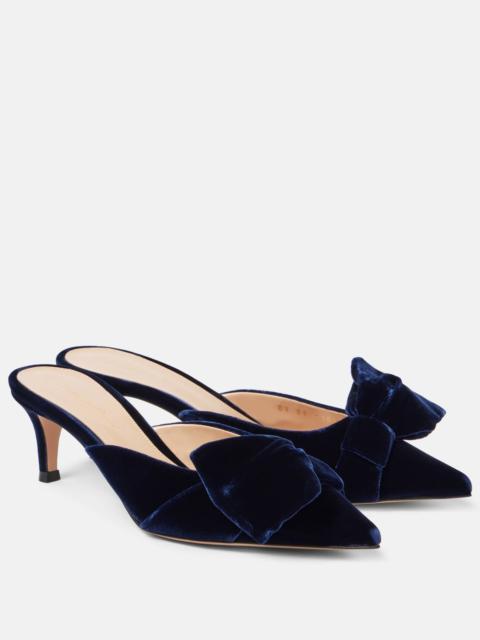 55 bow-detail velvet mules