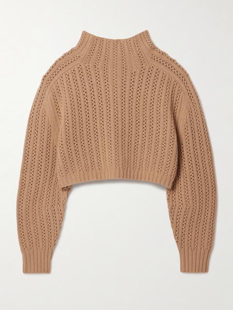 Hodeida Ribbed Pointelle-knit Wool And Cashmere-blend Sweater