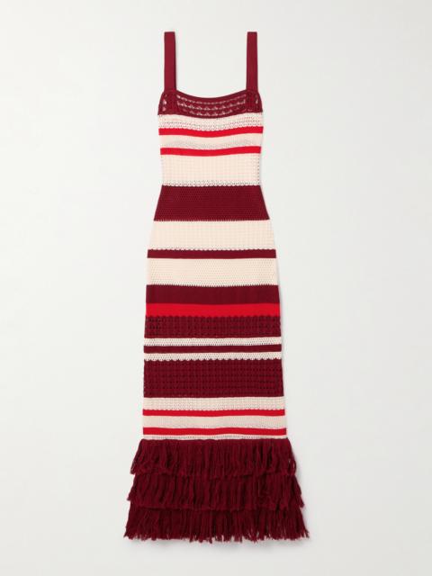 Embayed Fringed Crocheted Pima Cotton Maxi Dress