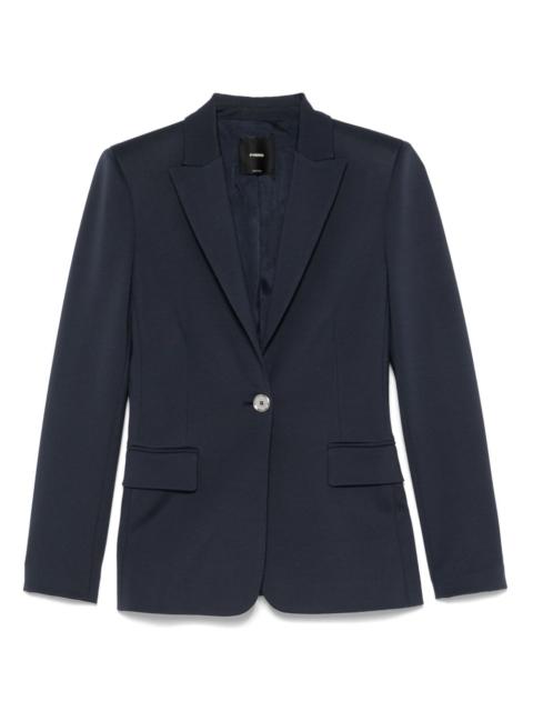 Signum blazer