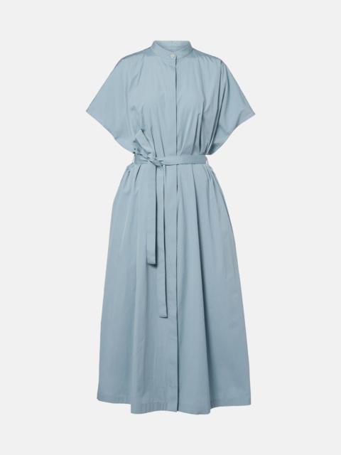 Belted cotton poplin shirt dress