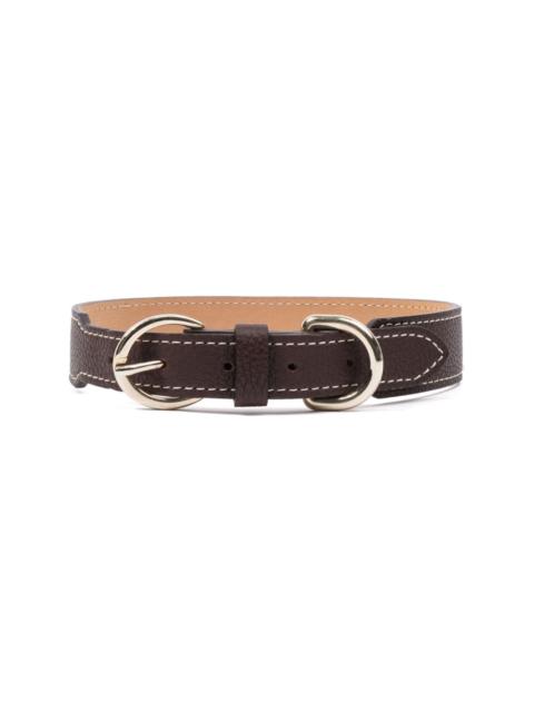 double-buckled leather dog collar