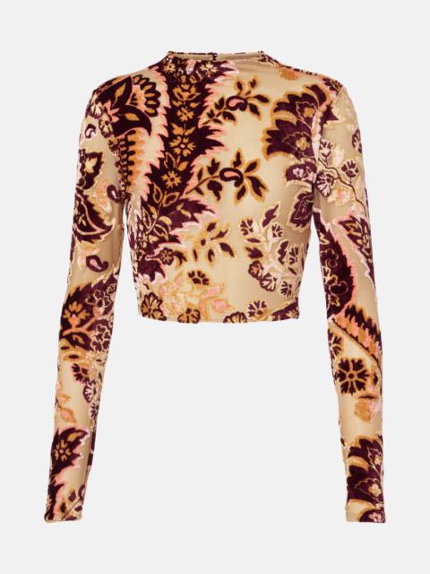 Paisley tulle and velvet jacquard crop top