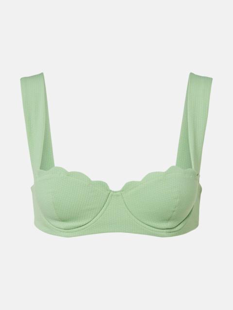 North scalloped bikini top