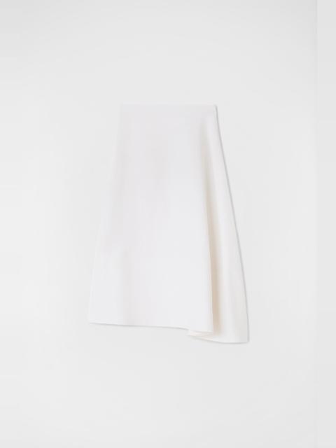 Asymmetrical Skirt