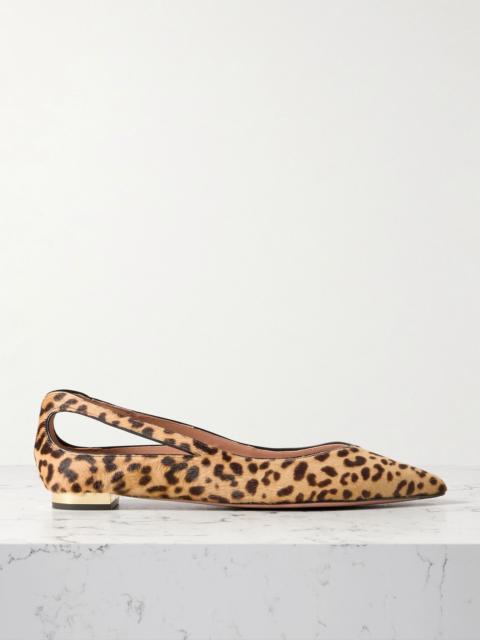 Sheeva cutout leopard-print calf hair point-toe flats Leopard print