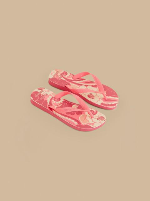 Groove Tropical Havaianas