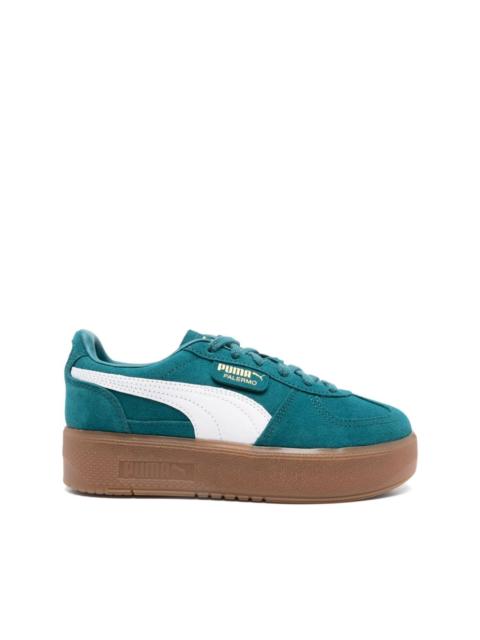puma 39934802 verde pelle