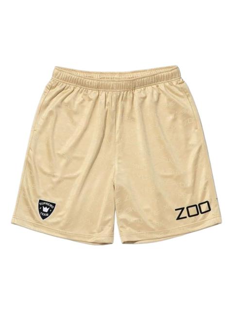 zoo york soccer shorts