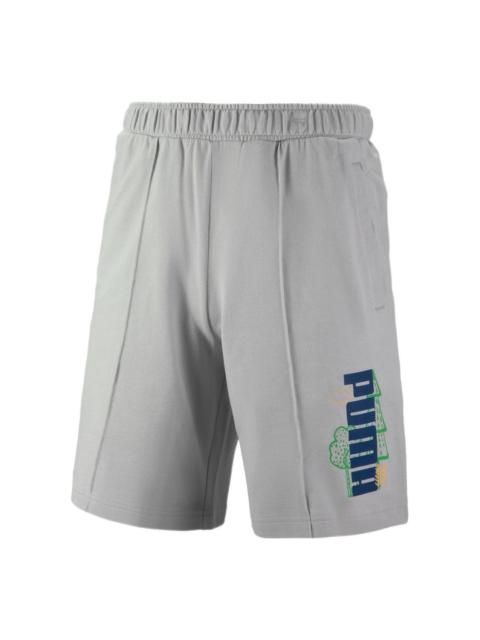 PUMA Logo Nature Shorts 'Grey' 538777-09
