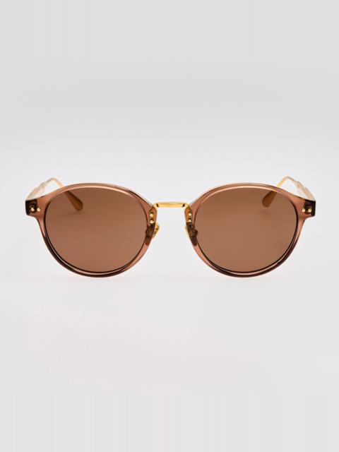 Marco Sunglasses in Brown
