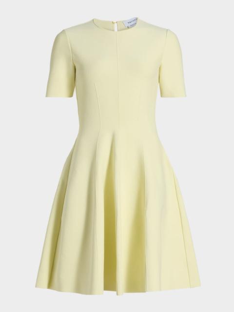 Seamed Short-Sleeve Mini Dress