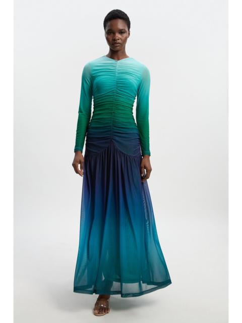 Long Sleeve Ombre Mesh Maxi Dress