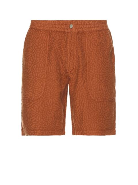 Terracotta Turleo Nico Shorts