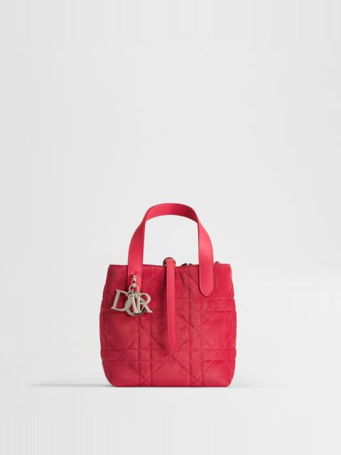 Small Dior Toujours Vertical Tote Bag