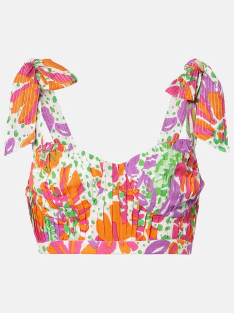 Carla printed halterneck crop top