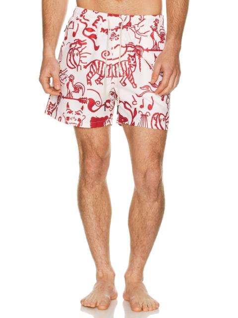 Arcano Swim Shorts