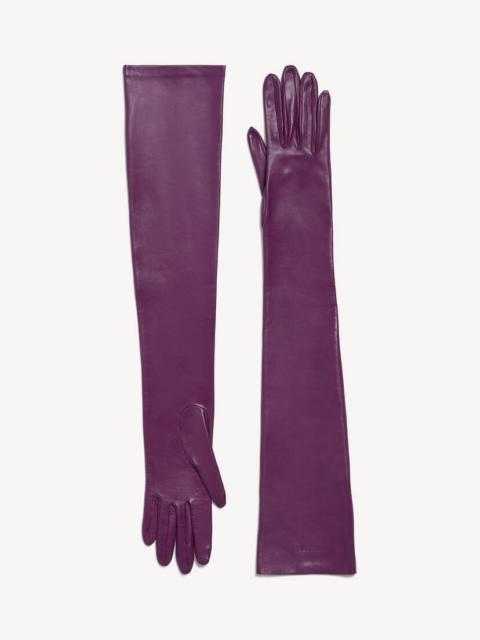 Women's Long Gloves in Iris