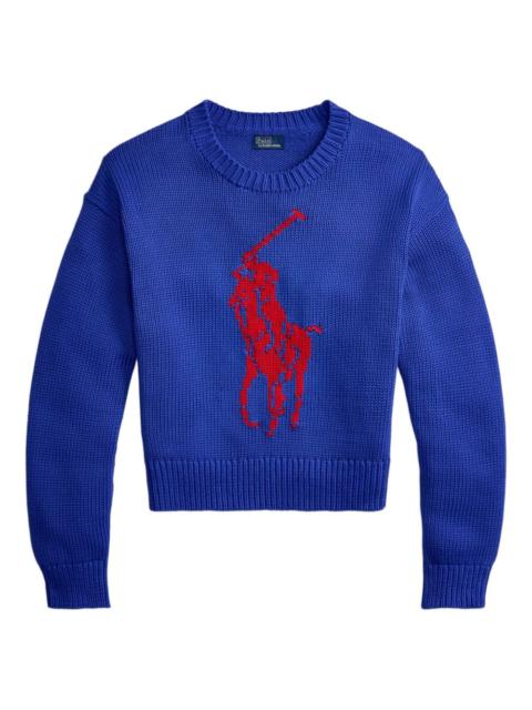Big Pony sweater