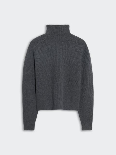 Cropped Rib Turtleneck