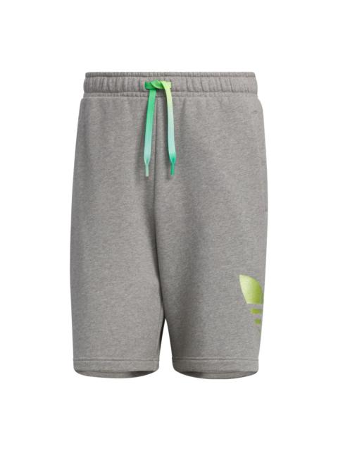 adidas Originals Knit Shorts 'Grey' IP7544