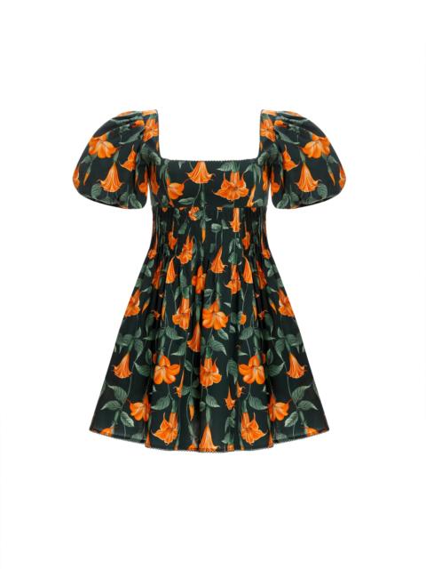 Caramelo Sabanero Nocturo Mini Dress