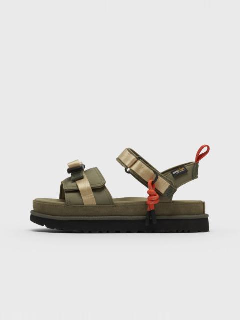 W GOLDENSTAR WILDWOOD