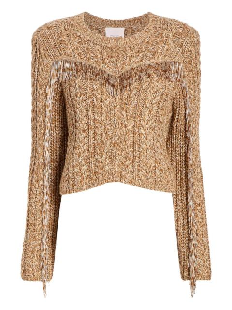 Lisabeth  bugle-fringed  sweater